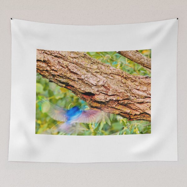 Item preview, Tree swallow flying into nest, UW Arboretum, Madison, WI. designed and sold by StevenRalserPhoto.