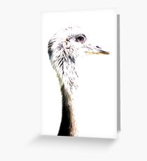 Emu ~3 ( Wildlife Preserve ) Greeting Card
