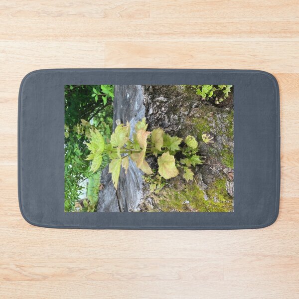 Item preview, “Undead” Maple Tree? designed and sold by Amanda1775.