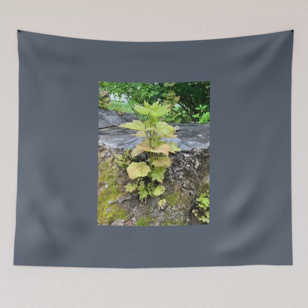 Item preview, “Undead” Maple Tree? designed and sold by Amanda1775.