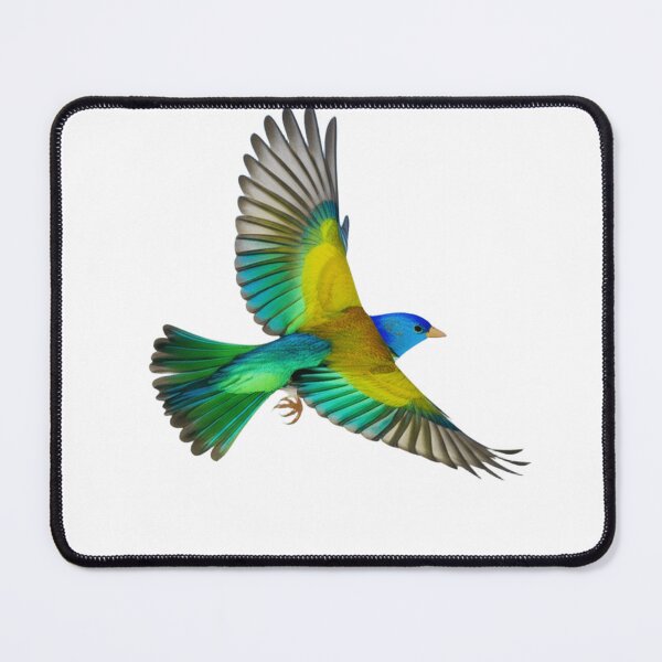 Item preview, A colorful bird on a branch designed and sold by shahinsy.