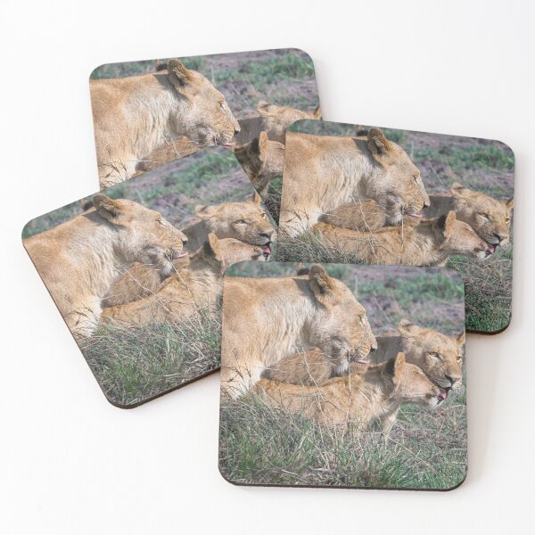 Item preview, Lions Grooming Masai Mara Kenya designed and sold by PhotoArt by Joan Carroll.