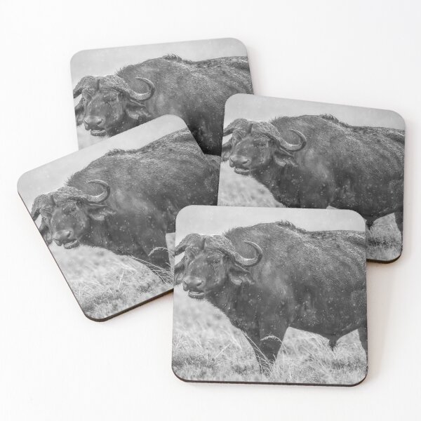 Item preview, Cape Buffalo Masai Mara Kenya BW designed and sold by PhotoArt by Joan Carroll.