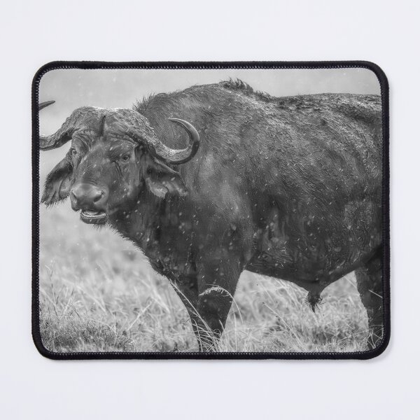 Item preview, Cape Buffalo Masai Mara Kenya BW designed and sold by PhotoArt by Joan Carroll.