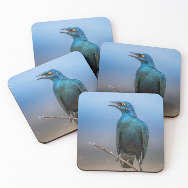 Item preview, Blue Eared Starling Masai Mara Kenya designed and sold by PhotoArt by Joan Carroll.