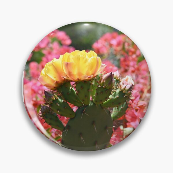 Item preview, Cute Cactus  designed and sold by Kagurachan1763.