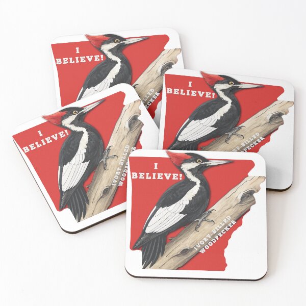 Item preview, I Believe - Ivory-billed Woodpecker Design designed and sold by Aux Arc.