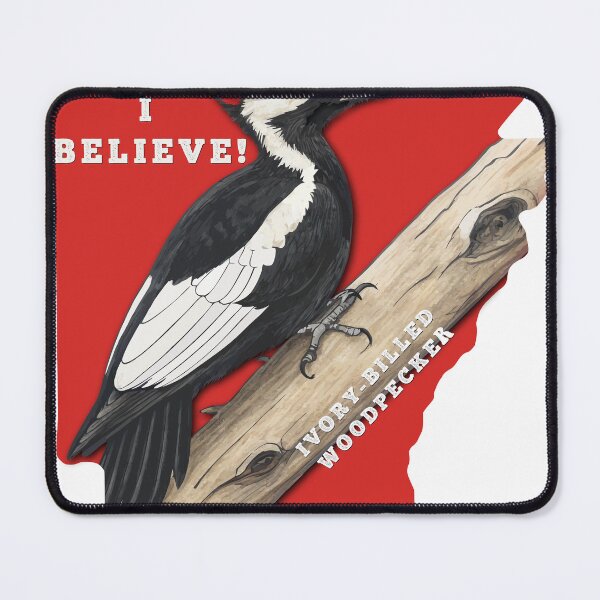 Item preview, I Believe - Ivory-billed Woodpecker Design designed and sold by Aux Arc.