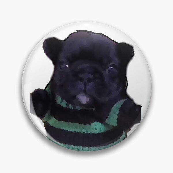 Item preview, Washington Pibble Fanart designed and sold by Esow Moss.