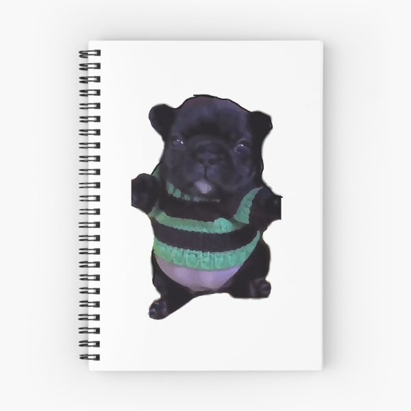 Item preview, Washington Pibble Fanart designed and sold by Esow Moss.