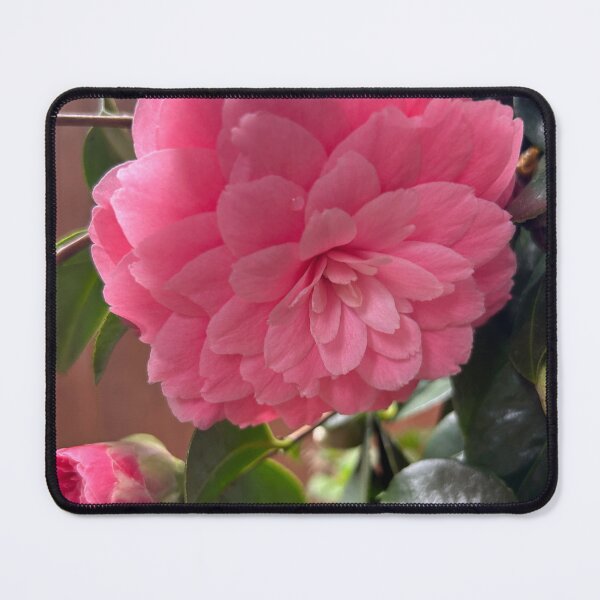 Item preview, Bold Pink Camellia Bloom designed and sold by KirtTisdale.