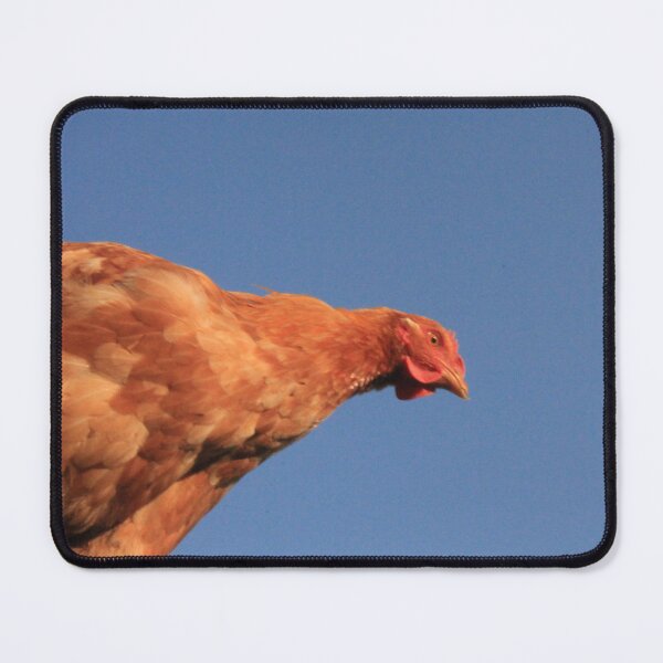 Item preview, A giant chicken designed and sold by John Jacob Jingleheimer Schmidt.