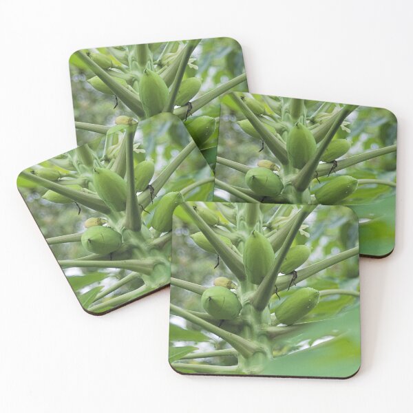 Item preview, Hlk papaya designed and sold by pcfyi.