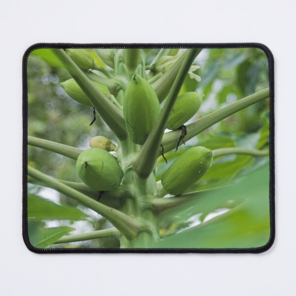 Item preview, Hlk papaya designed and sold by pcfyi.