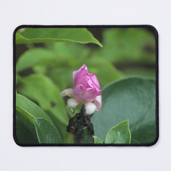 Item preview, Hlk pink bud designed and sold by pcfyi.
