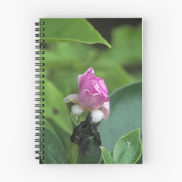 Item preview, Hlk pink bud designed and sold by pcfyi.