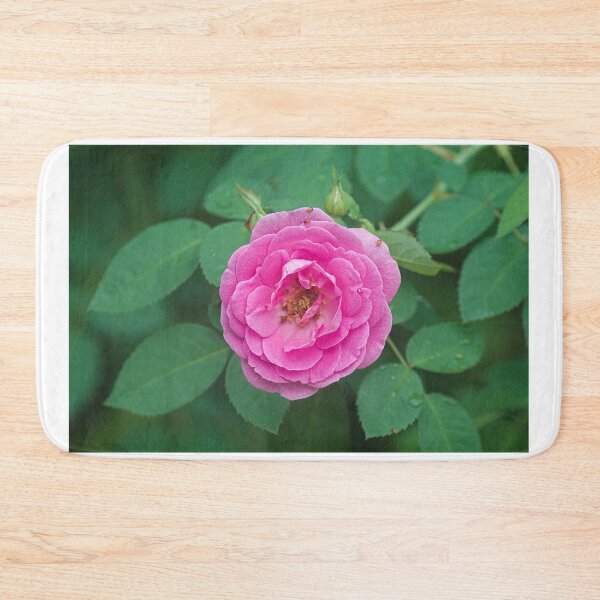 Item preview, Hlk pink rose designed and sold by pcfyi.
