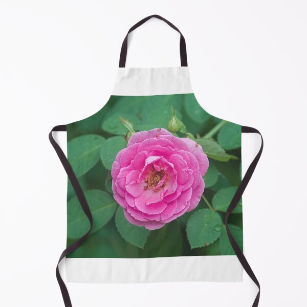 Item preview, Hlk pink rose designed and sold by pcfyi.