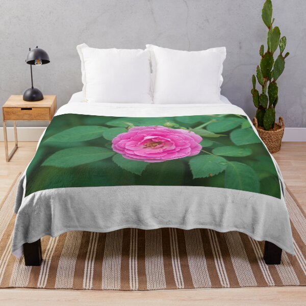 Item preview, Hlk pink rose designed and sold by pcfyi.