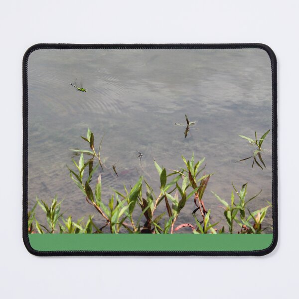 Item preview, Eastern Pondhawk Dragonfly designed and sold by TiffanyMaeDesign.