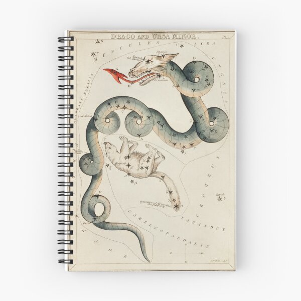 Item preview, Draco and Ursa Minor Astrological Constellation Chart   designed and sold by CulturalCurios.
