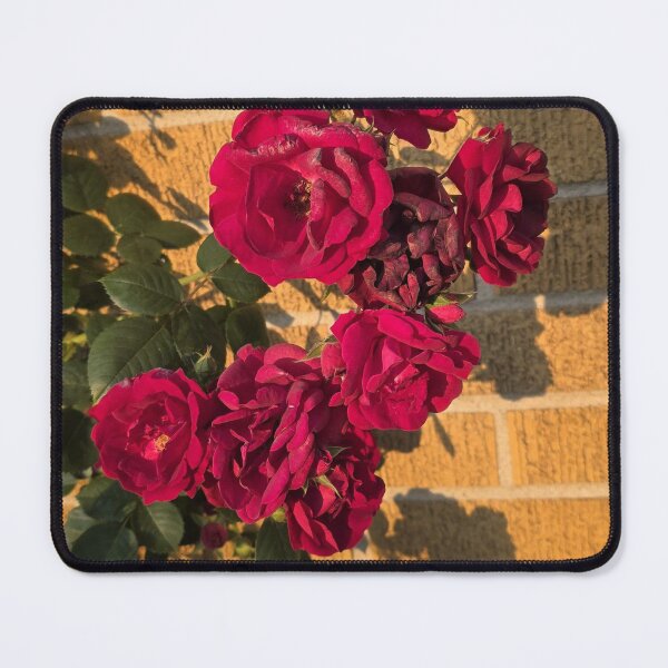 Item preview, Roses Against Bricks designed and sold by CassiferLynnArt.
