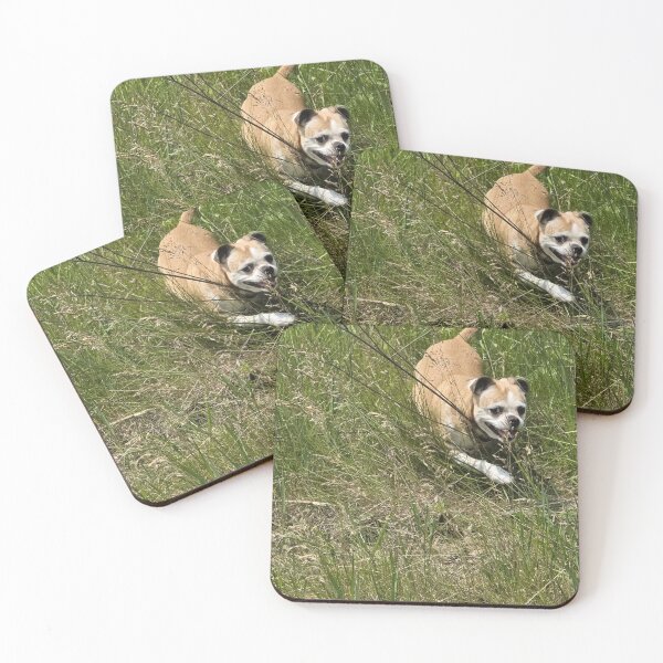 Item preview, Bumble Running Through Tall Grass designed and sold by CassiferLynnArt.