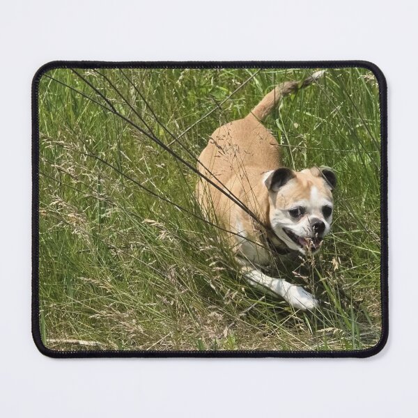 Item preview, Bumble Running Through Tall Grass designed and sold by CassiferLynnArt.