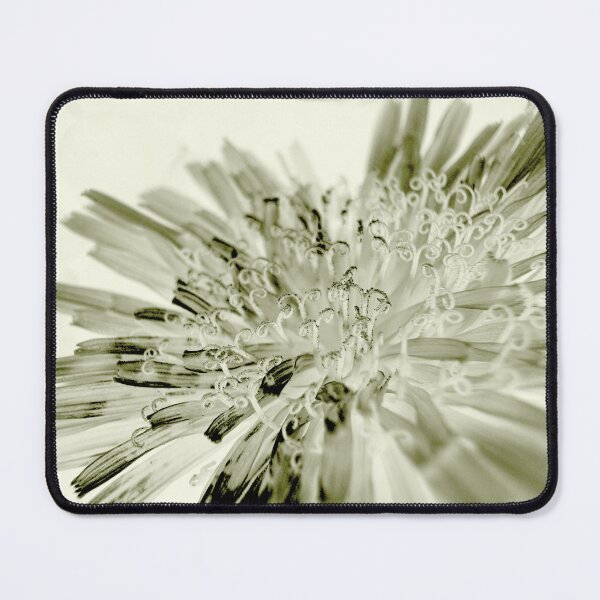 Item preview, X-ray Dandelion Flower designed and sold by Moss Goblin Art and Photography .