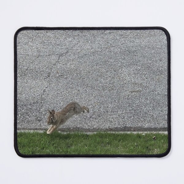 Item preview, Leapin Rabbit designed and sold by CassiferLynnArt.