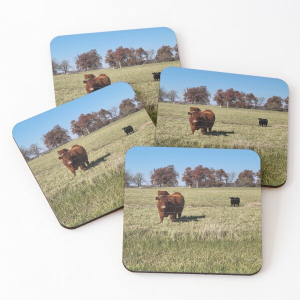 Item preview, Curious Cows designed and sold by CassiferLynnArt.