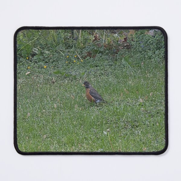 Item preview, Robin in the Grass designed and sold by CassiferLynnArt.