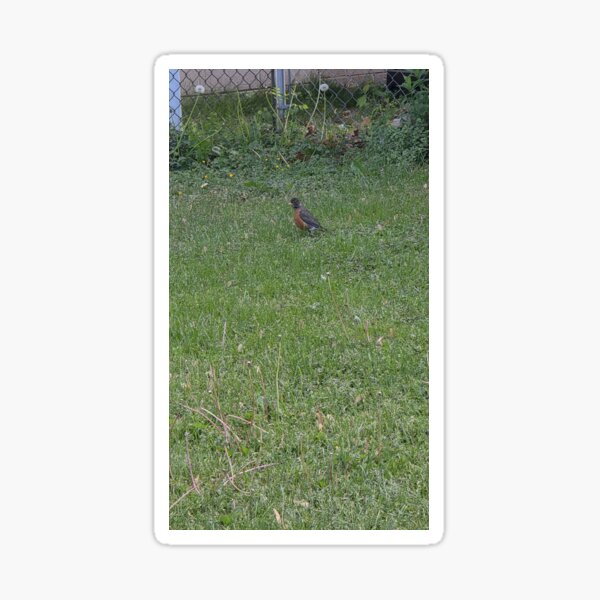 Item preview, Robin in the Grass designed and sold by CassiferLynnArt.