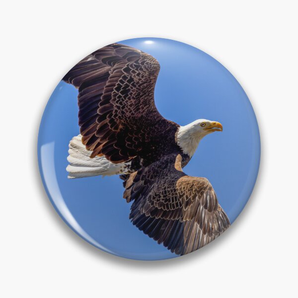 Item preview, Huntington Beach Bald Eagle Aerial Maneuvers designed and sold by PsychoAlien.com.
