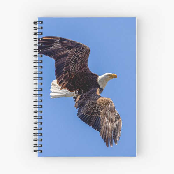 Item preview, Huntington Beach Bald Eagle Aerial Maneuvers designed and sold by PsychoAlien.com.