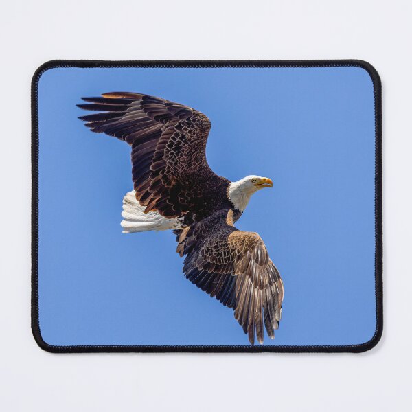 Item preview, Huntington Beach Bald Eagle Aerial Maneuvers designed and sold by PsychoAlien.com.
