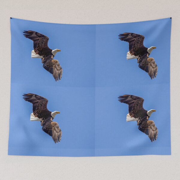 Item preview, Huntington Beach Bald Eagle Aerial Maneuvers designed and sold by PsychoAlien.com.