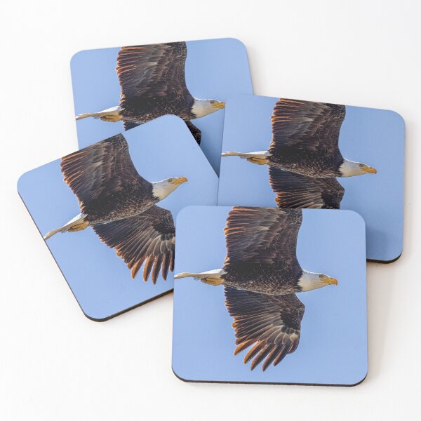 Item preview, Huntington Beach Bald Eagle Winked At Me! designed and sold by PsychoAlien.com.