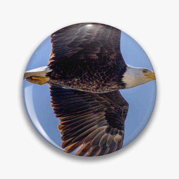Item preview, Huntington Beach Bald Eagle Winked At Me! designed and sold by PsychoAlien.com.