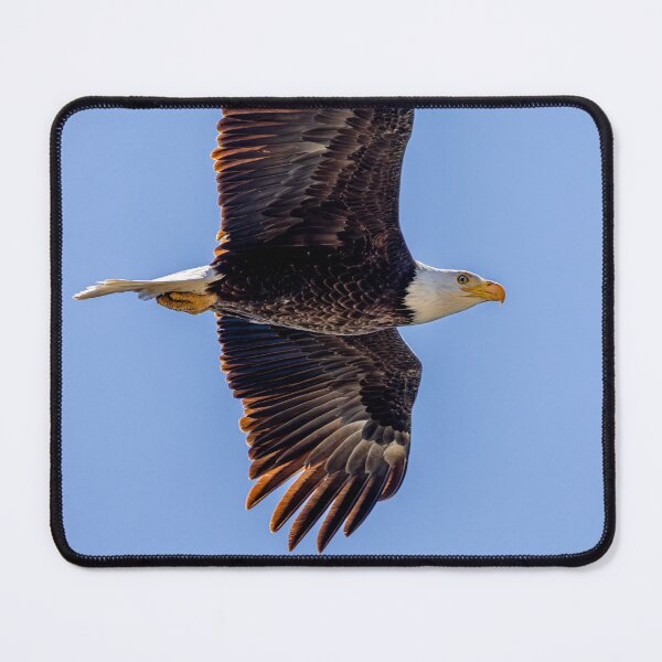 Item preview, Huntington Beach Bald Eagle Winked At Me! designed and sold by PsychoAlien.com.