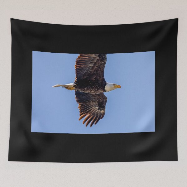 Item preview, Huntington Beach Bald Eagle Winked At Me! designed and sold by PsychoAlien.com.