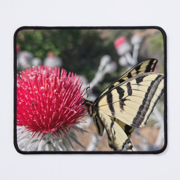 Item preview, A Moment of Wild Beauty designed and sold by Betsy Phillips.