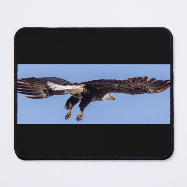 Item preview, Huntington Beach Bald Eagle Nice Legs Pose designed and sold by PsychoAlien.com.