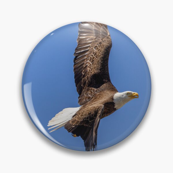 Item preview, Huntington Beach Bald Eagle Bank Turn In Blue Skies designed and sold by PsychoAlien.com.