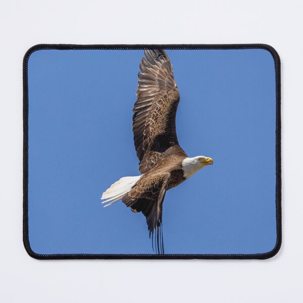 Item preview, Huntington Beach Bald Eagle Bank Turn In Blue Skies designed and sold by PsychoAlien.com.