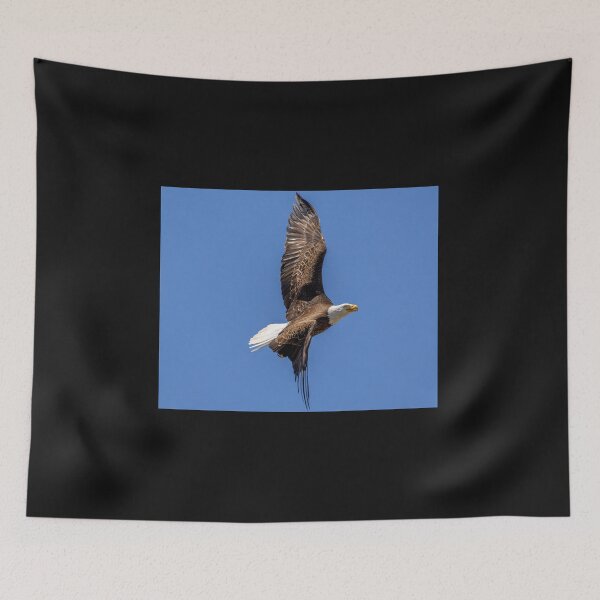 Item preview, Huntington Beach Bald Eagle Bank Turn In Blue Skies designed and sold by PsychoAlien.com.