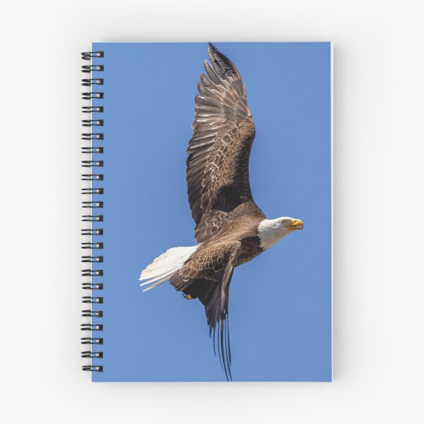 Item preview, Huntington Beach Bald Eagle Bank Turn In Blue Skies designed and sold by PsychoAlien.com.