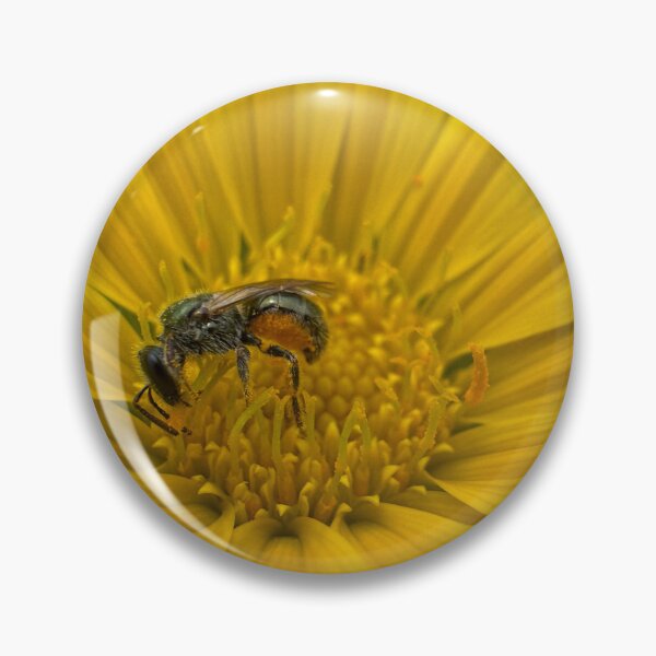 Item preview, Native Australian Bee Harvesting Bright Yellow Flower  designed and sold by Moss Goblin Art and Photography .