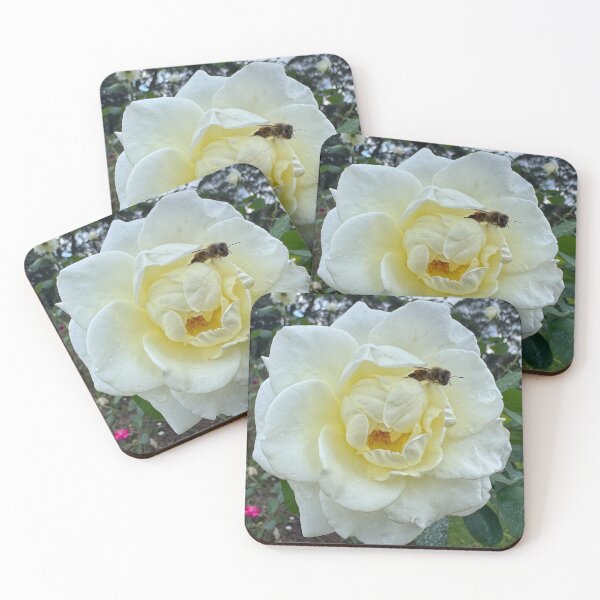 Item preview, Honey Bee Leaping from a White Rose  designed and sold by Moss Goblin Art and Photography .