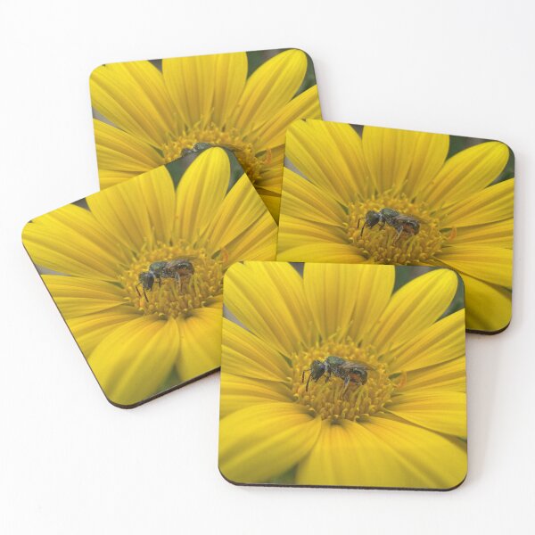 Item preview, Native Australian Bee Watching from Bright Yellow Flower  designed and sold by Moss Goblin Art and Photography .